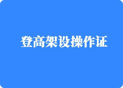 摸逼逼网登高架设操作证